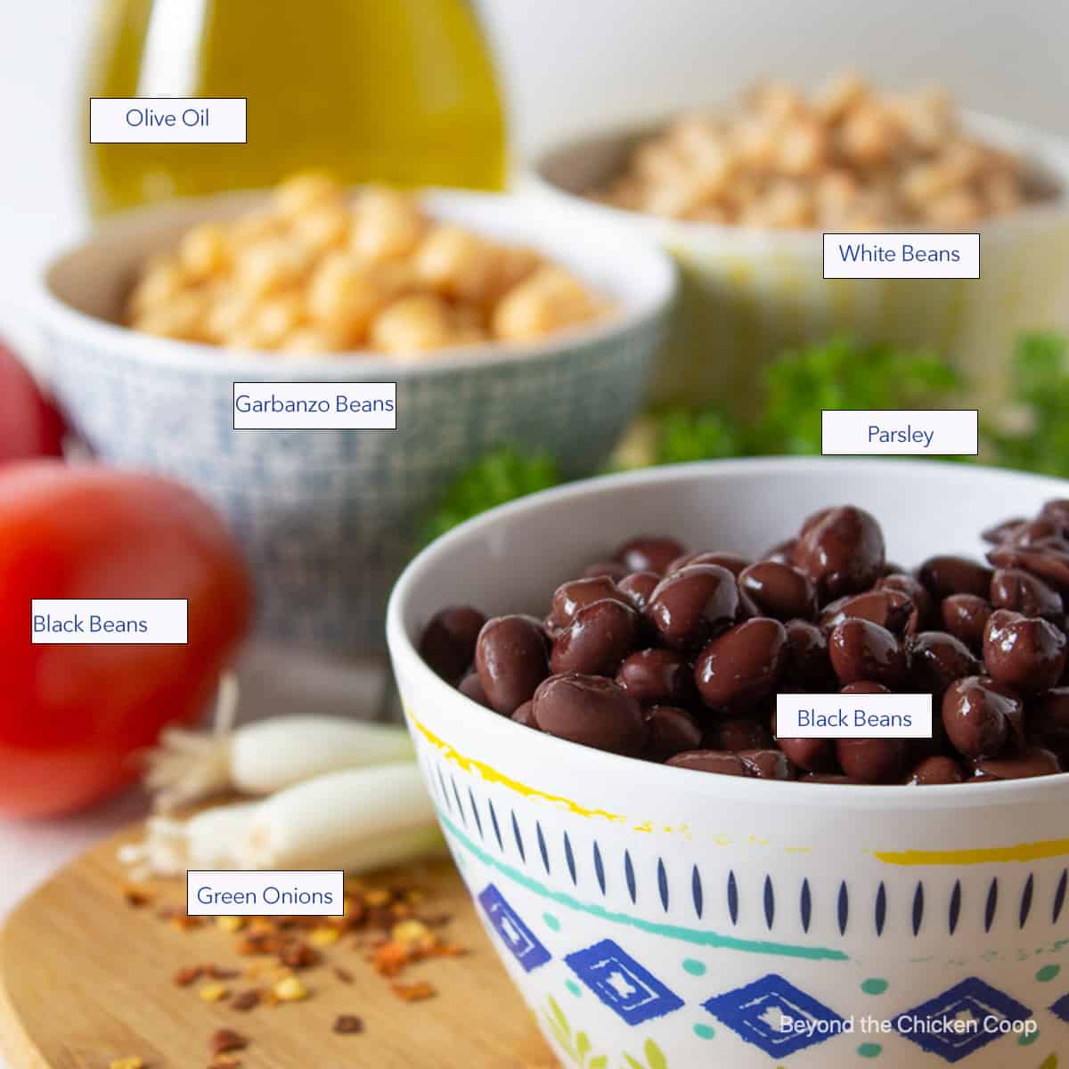 Small colorful bowls filled with different types of beans.