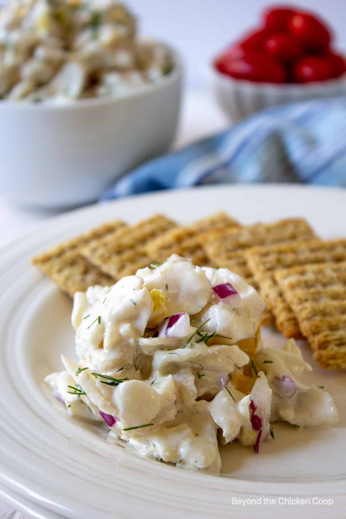 Fish salad on a plate next to some wheat crackers.