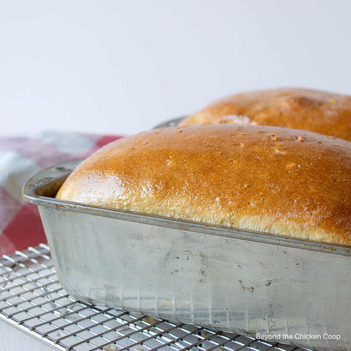 Two loaves of cooked bread in a metal bread pan.