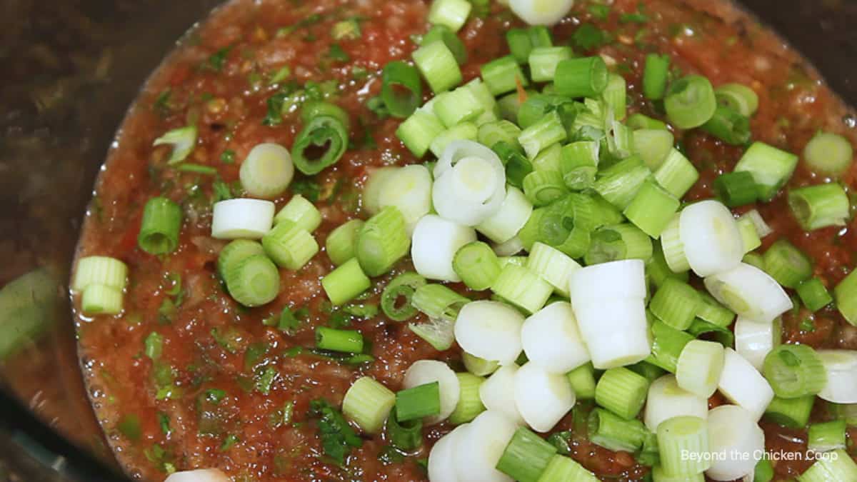 Chopped green onions on top of fresh tomato salsa.