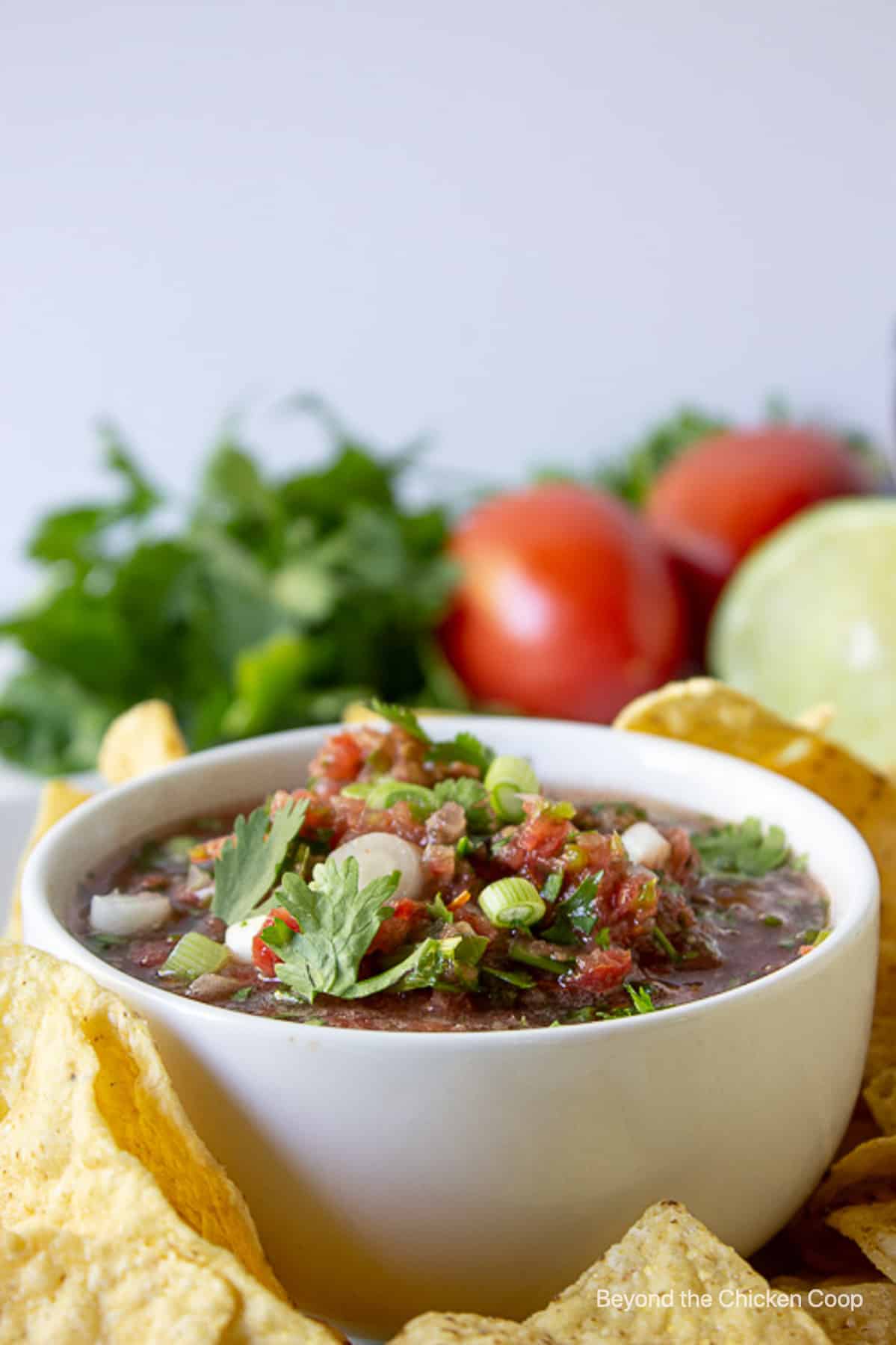 A white bowl filled with salsa surrounded by chips.