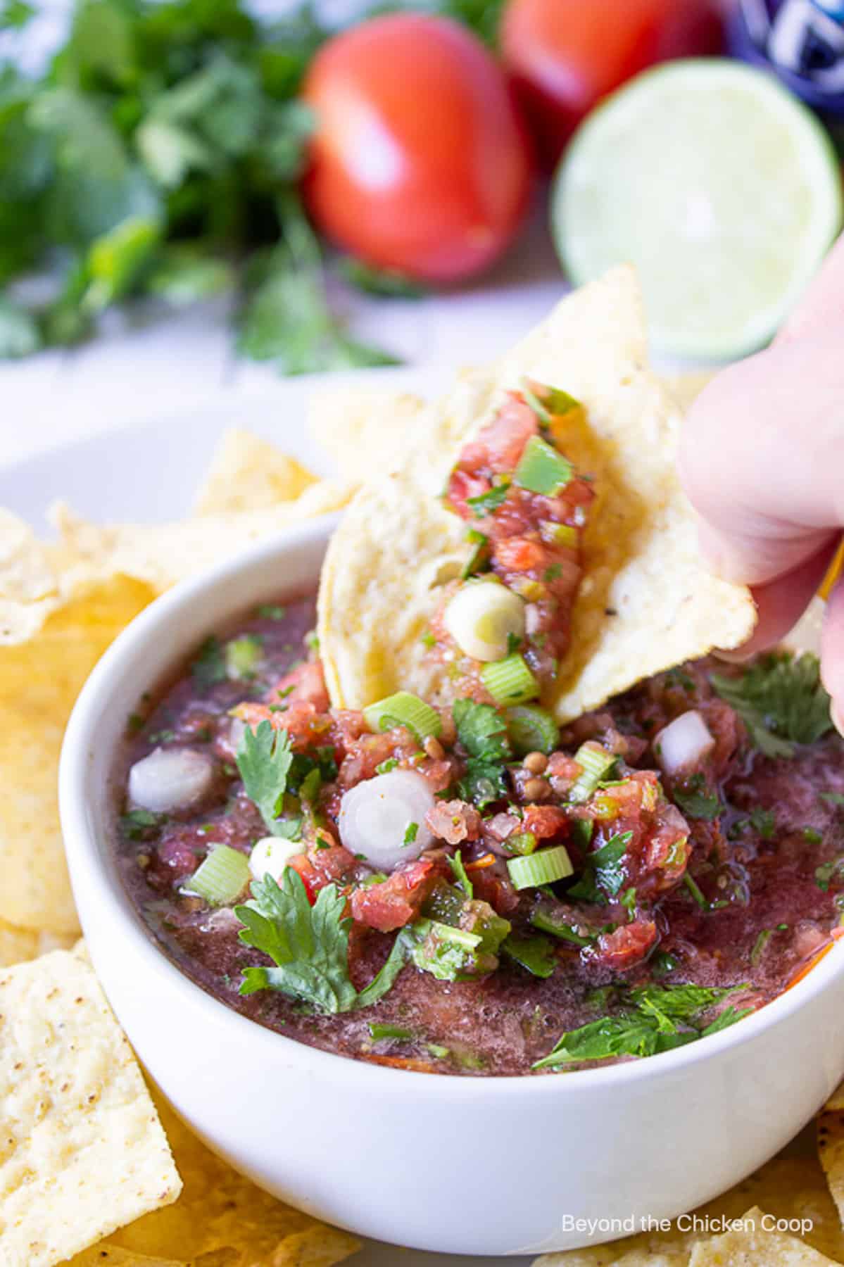 A chip dipping into a bowl of salsa.