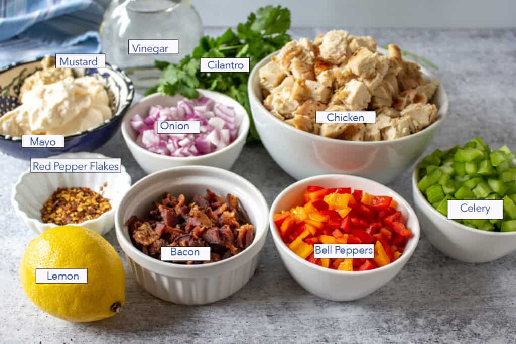 Small bowls filled with peppers, onions, celery and chicken.