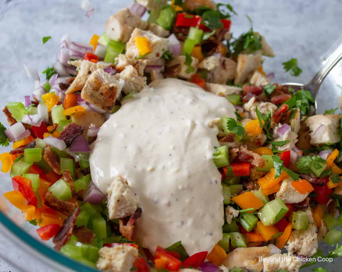 Salad dressing on top of a chopped chicken and vegetable mixture.