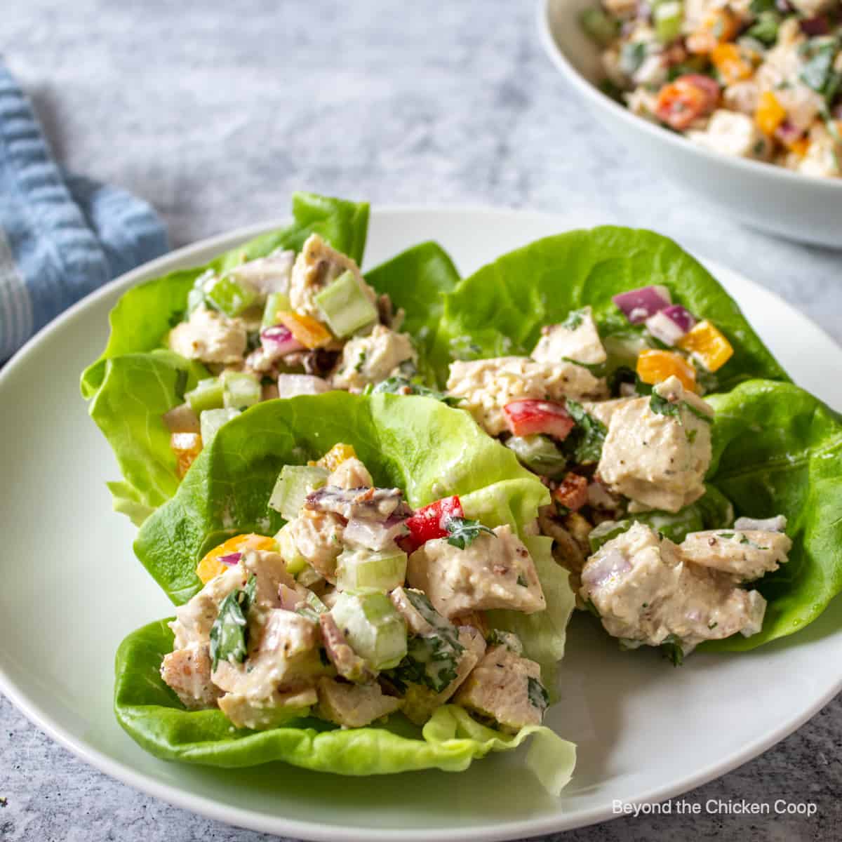 Lettuce wraps filled with chicken salad.