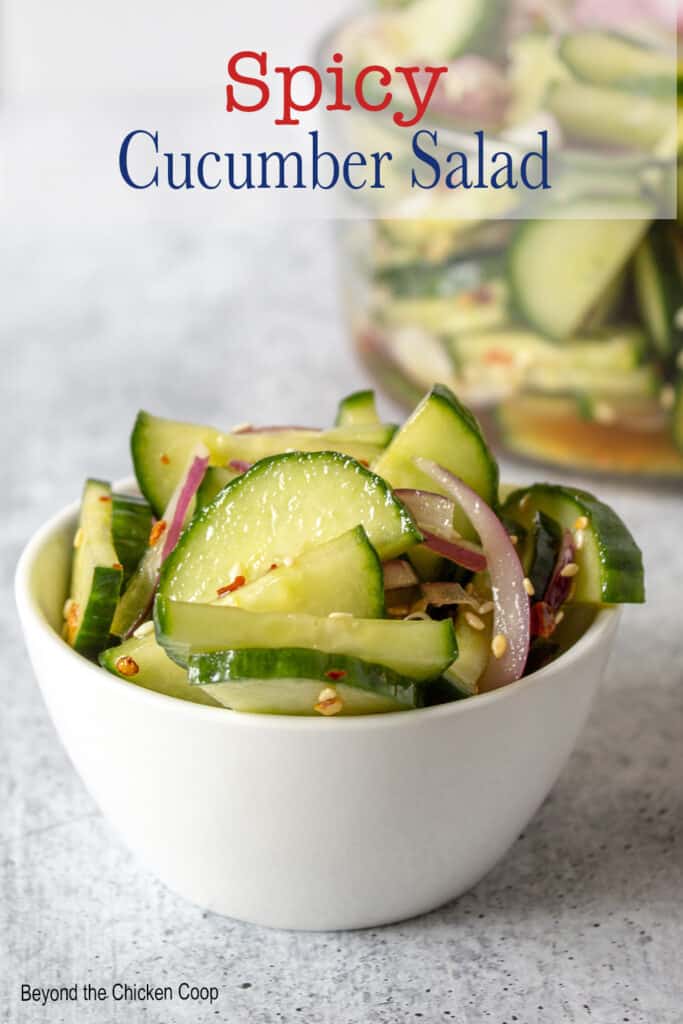 A small bowl filled with sliced cucumbers and onions.