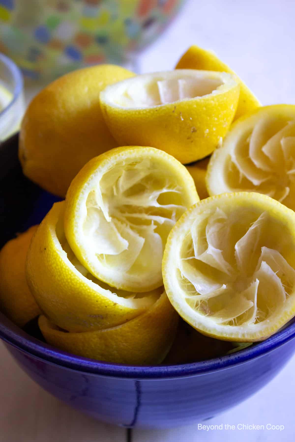 A bowlful of squeezed lemon halves. 