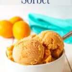 Scoops of frozen sorbet in a white bowl.
