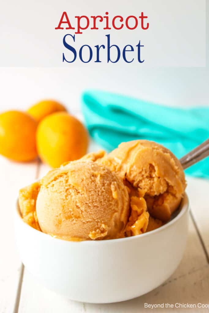 Scoops of frozen sorbet in a white bowl.