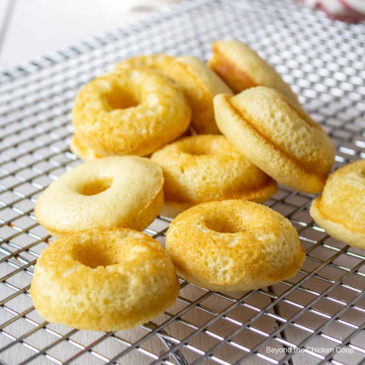 Mini donuts on a cooling rack.