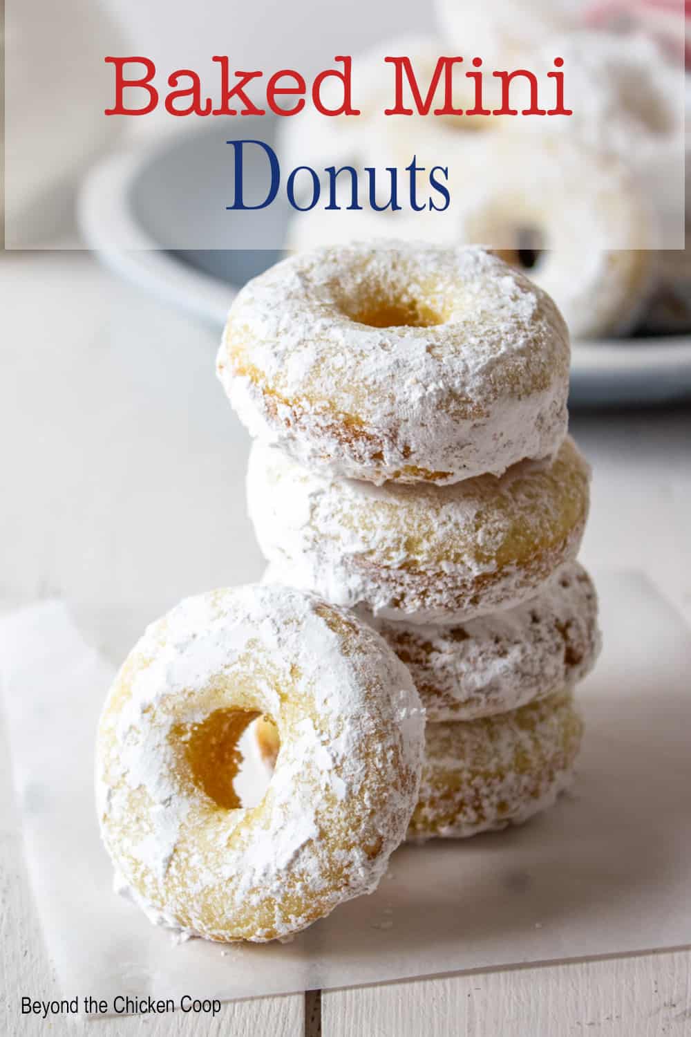 Baked Mini Donuts Beyond The Chicken Coop
