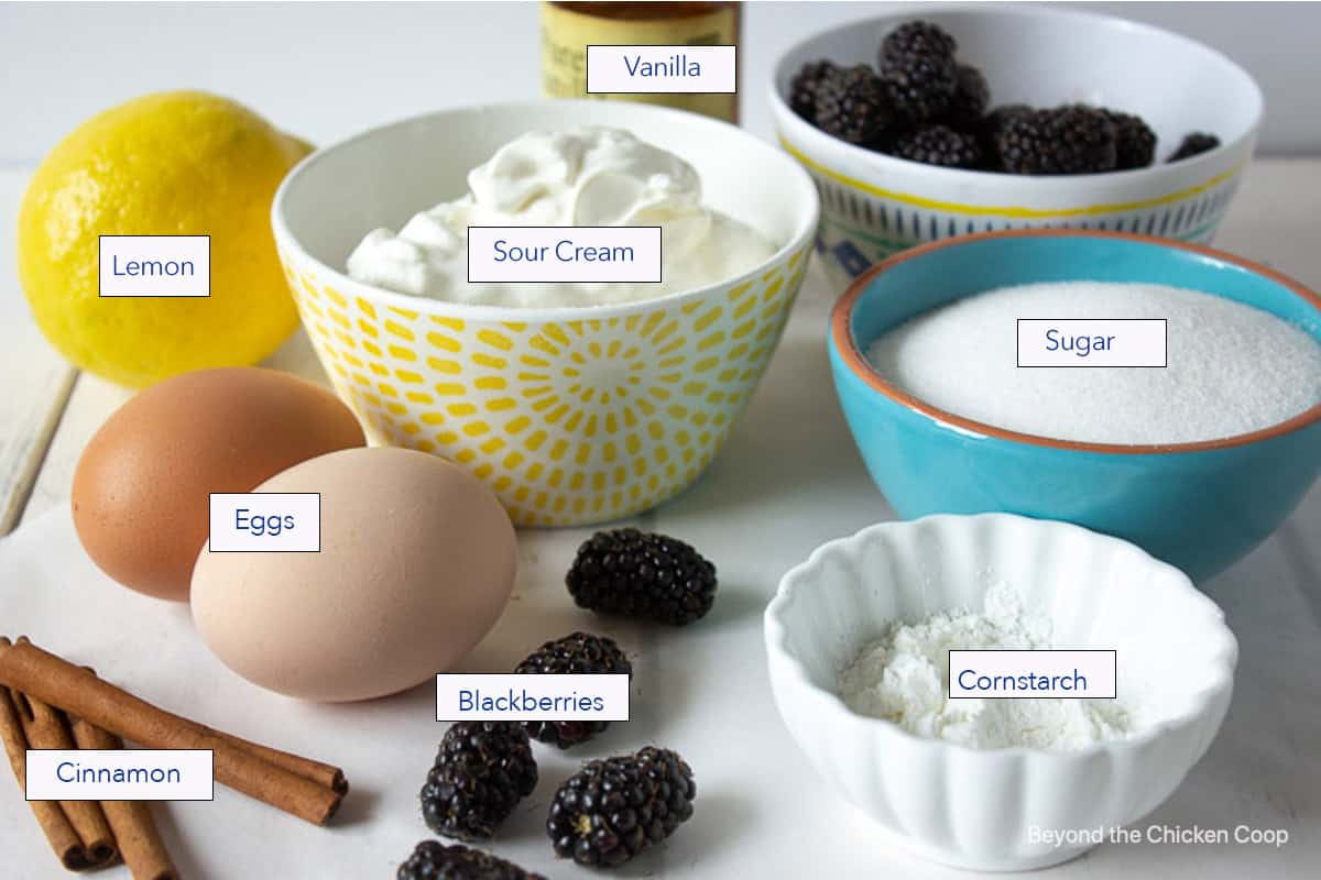 Ingredients displayed for making blackberry bars.