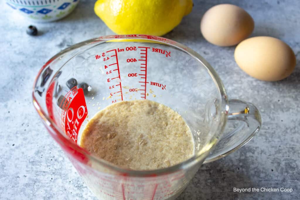 Yeast activated in a measuring cup.