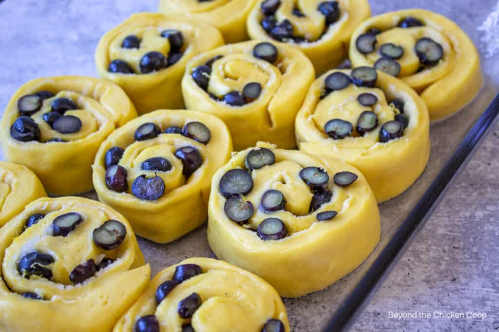 Unbaked sweet rolls ready for the oven.