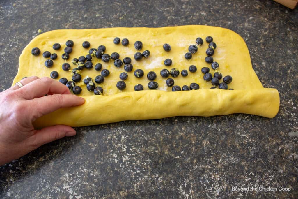 Rolling up blueberry sweet roll dough.