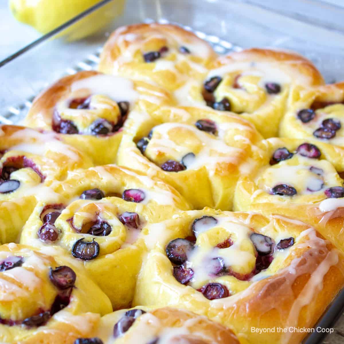 Blueberry Lemon Sweet Rolls