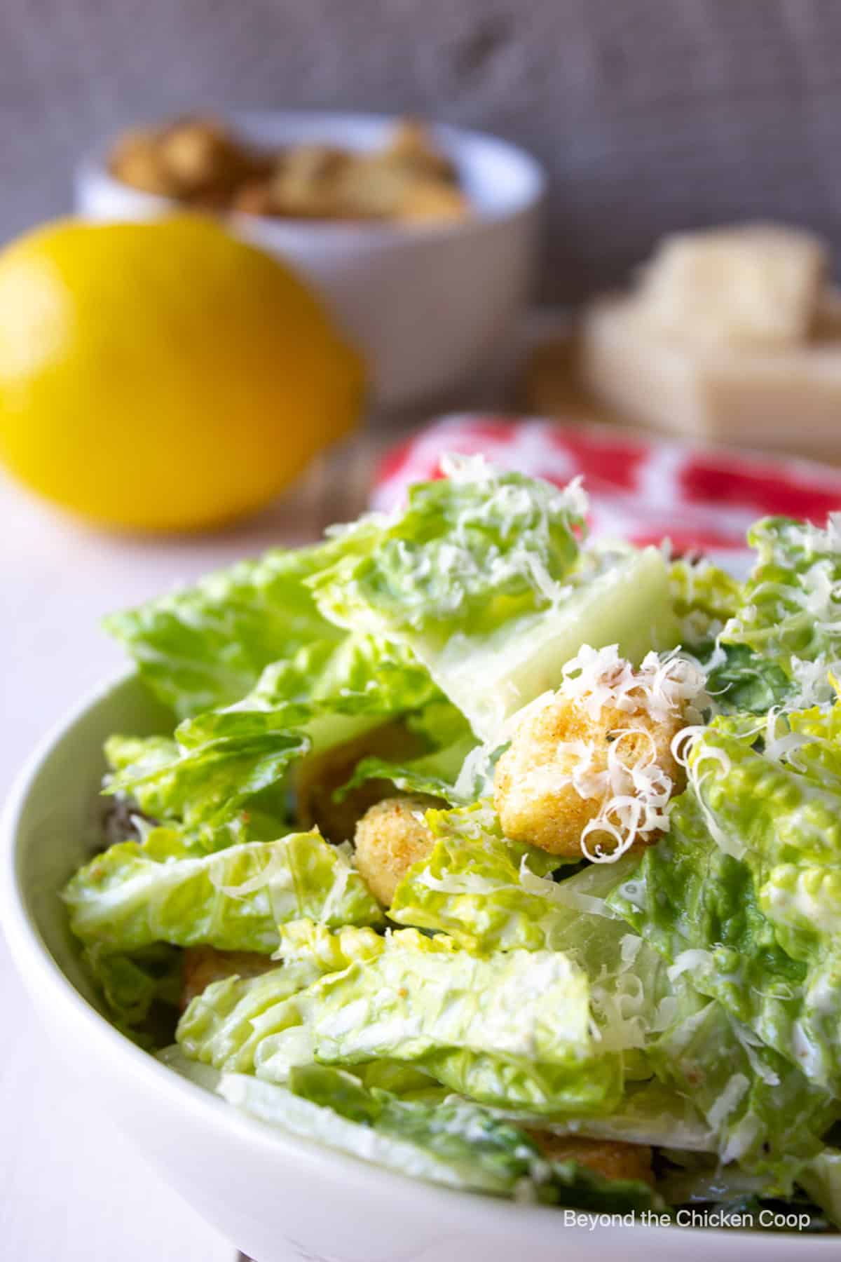 A green salad topped with cheese and croutons in a white bowl.