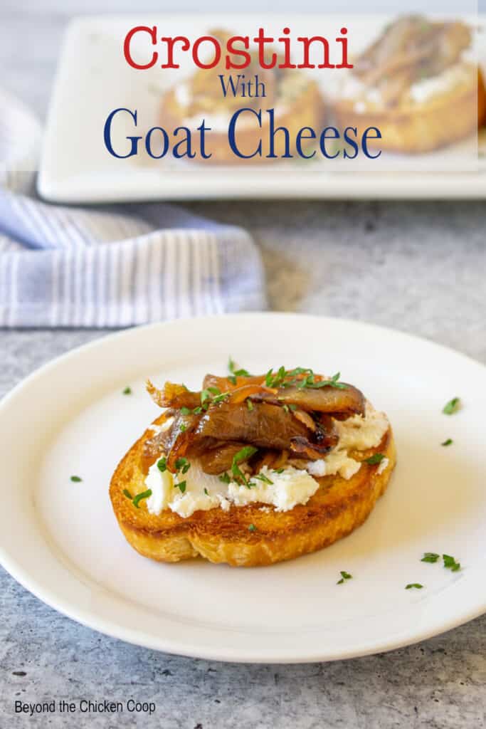 A small piece of toasted bread topped with a creamed cheese and onions.