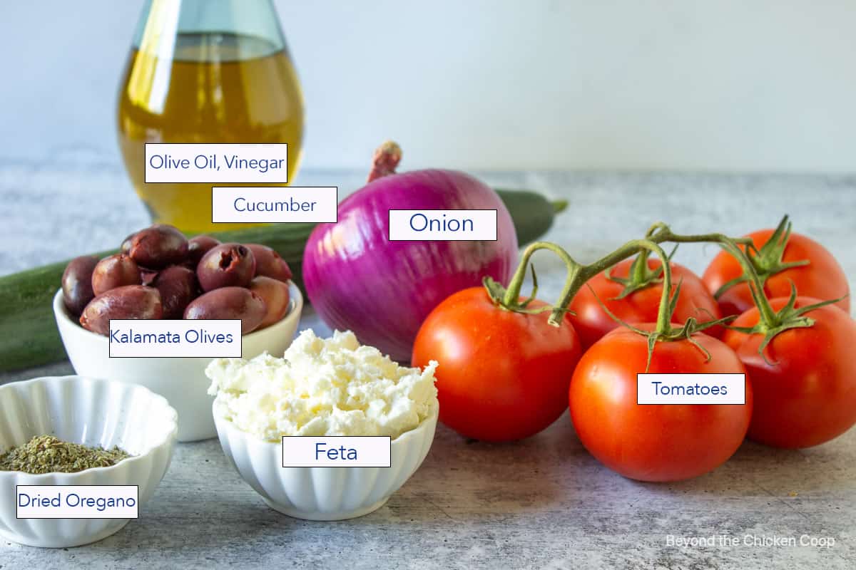 Fresh tomatoes, onion, cucumber and other ingredients on a counter.