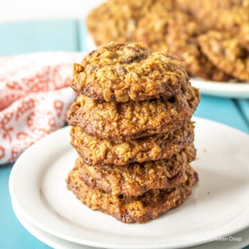 A stack of oatmeal cookies on a white plate.