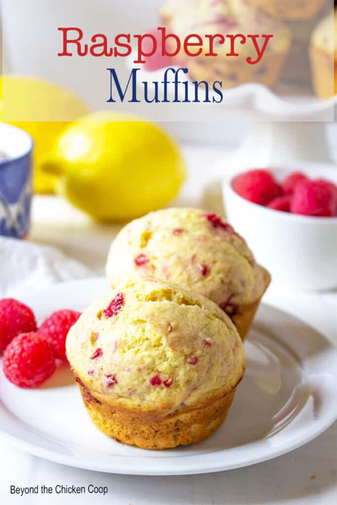 Two raspberry muffins on a white plate.