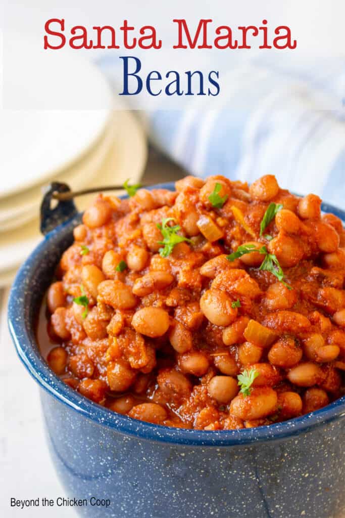 A blue pot filled with barbecue beans.