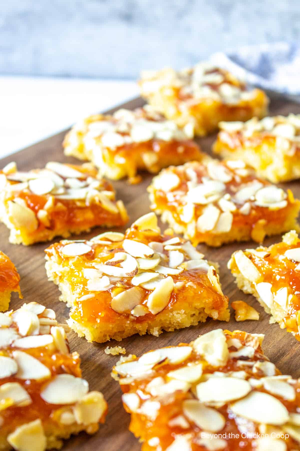 Apricot Almond Bars cut into squares.