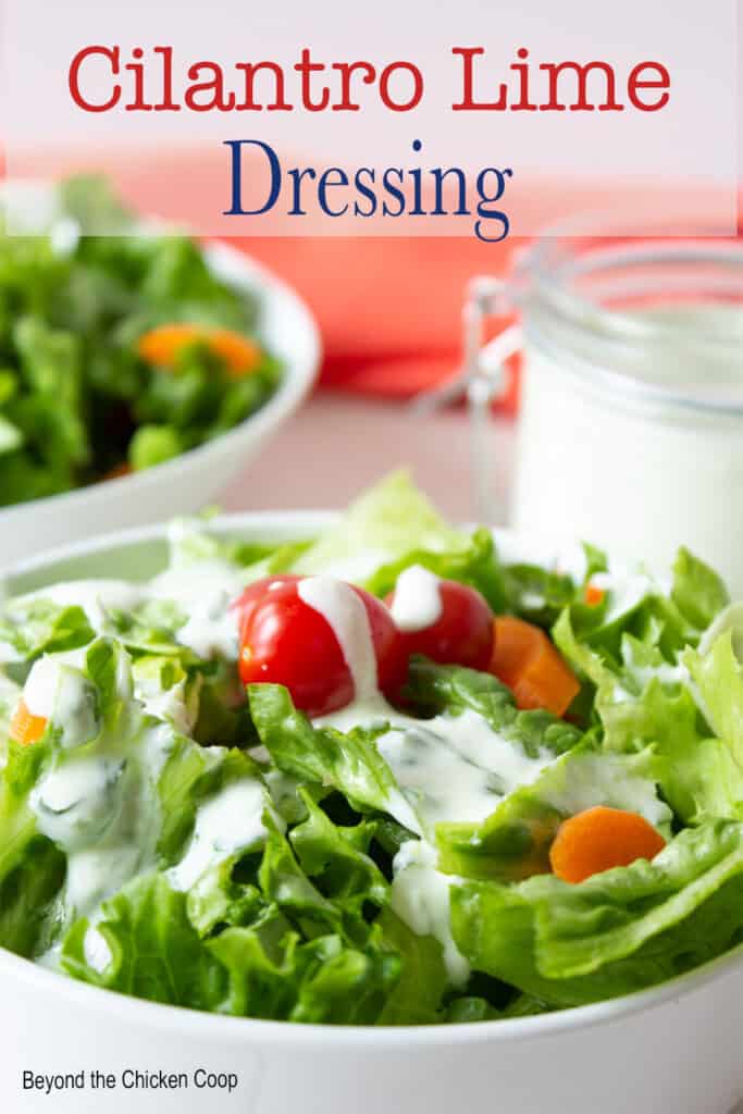 A green salad with a creamy salad dressing.