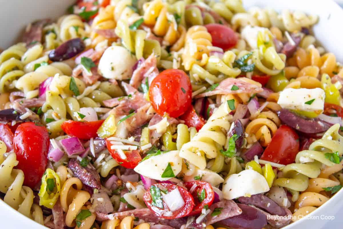 A closeup shot of a pasta salad with tomatoes and mozzarella cheese.