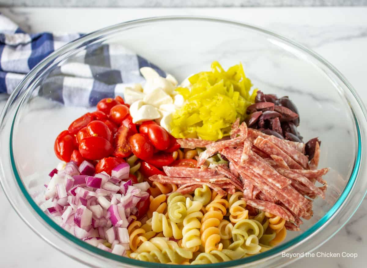 A bowl filled with pasta, tomatoes, onions and salami.