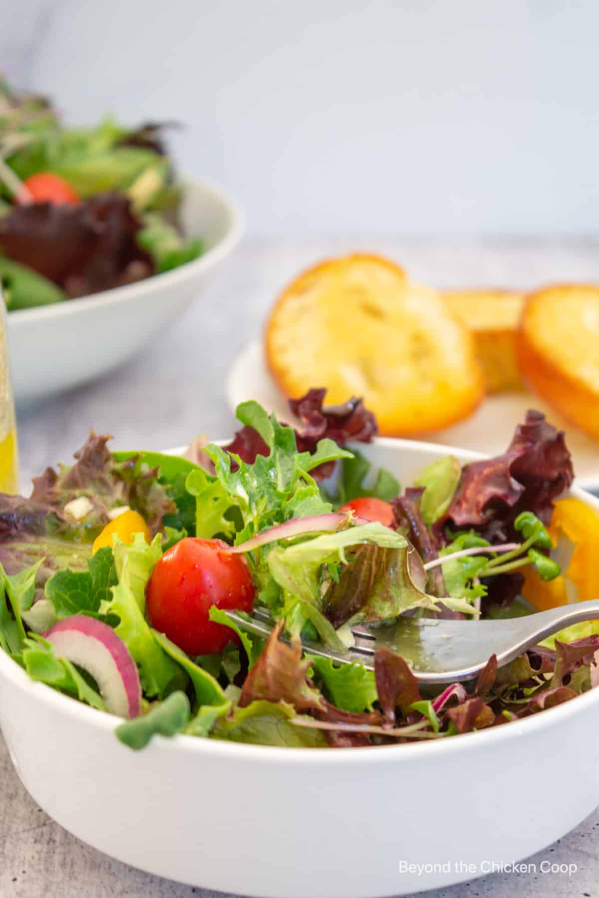 A green salad with tomatoes and onions.