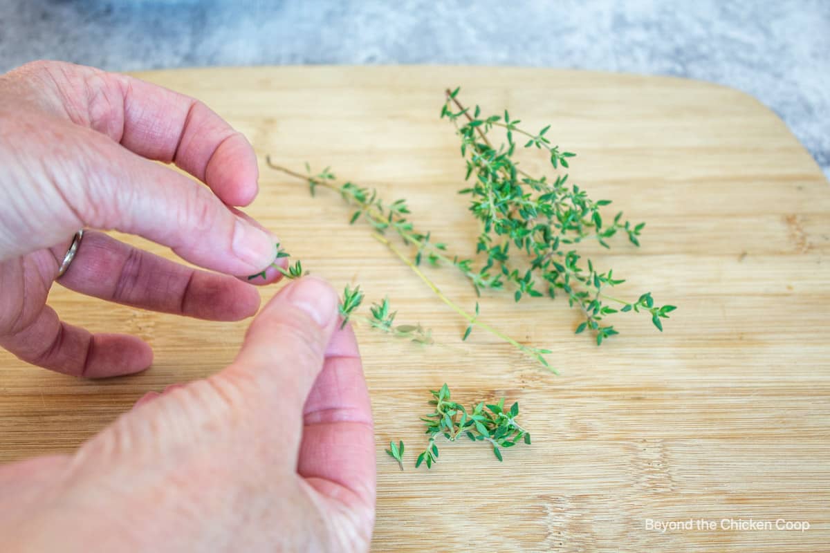 Removing thyme leaves from the stem.