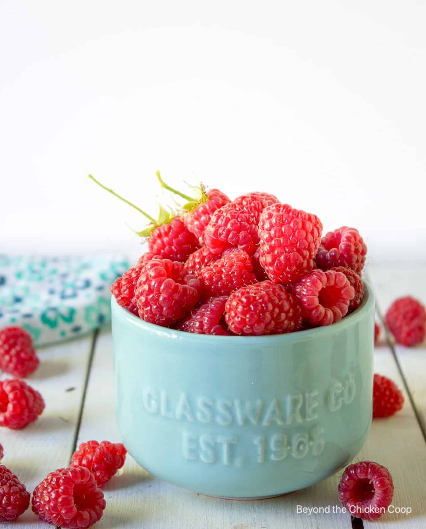 A small bowl filled with fresh raspberries.