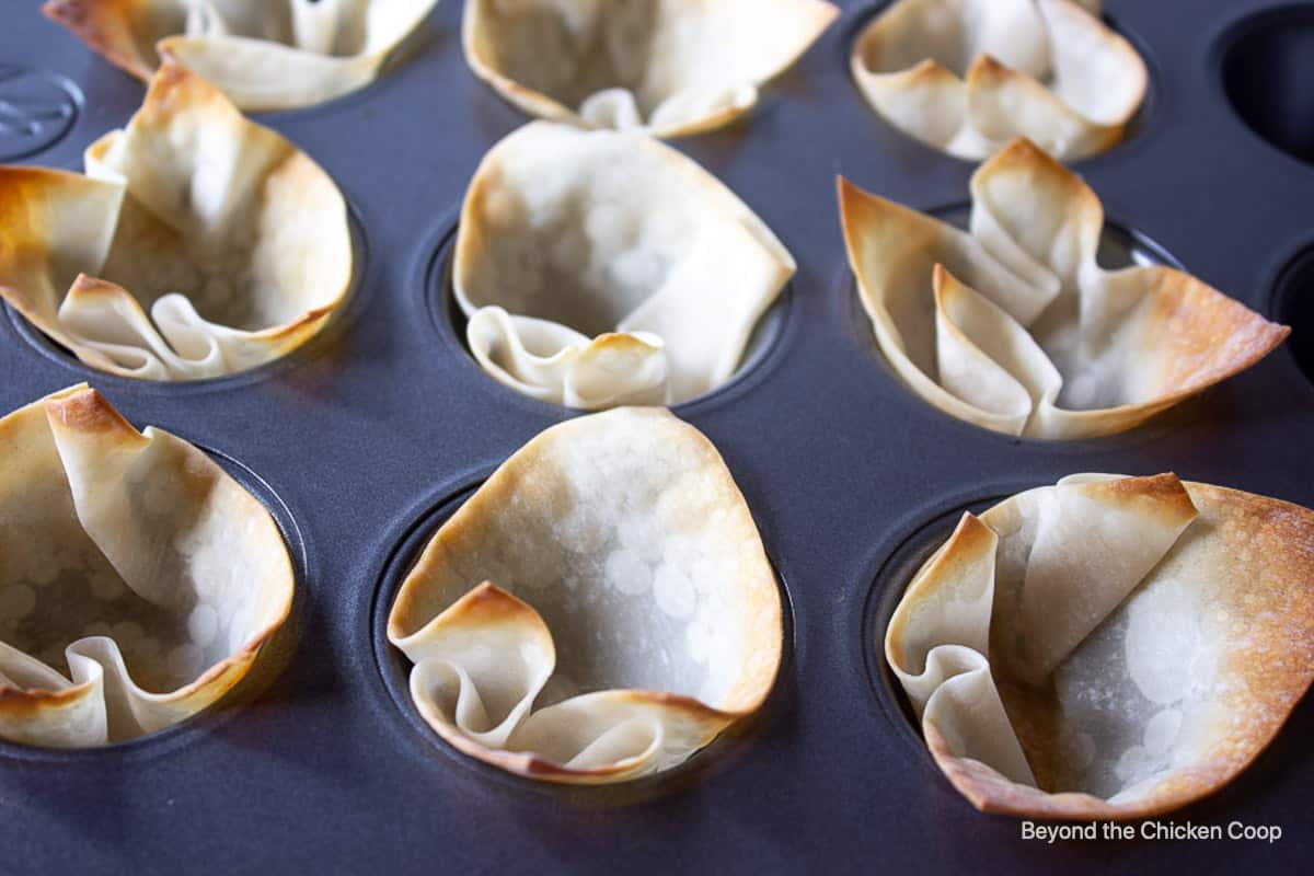 Baked wonton wrappers with crispy edges.