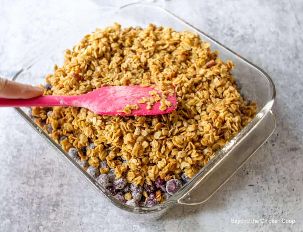 Granola added to the top of huckleberries.