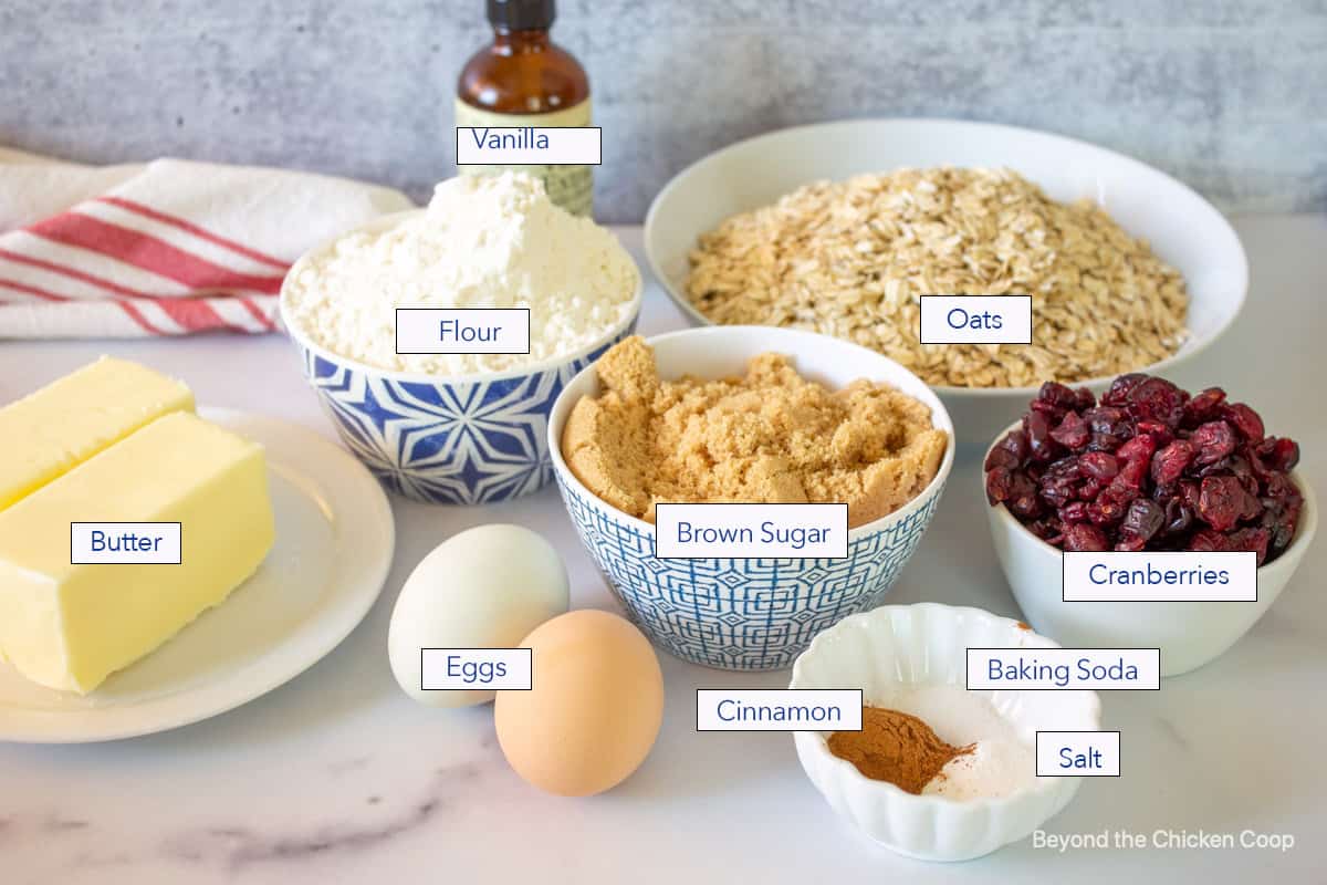 Ingredients for making oatmeal cookies with cranberries.