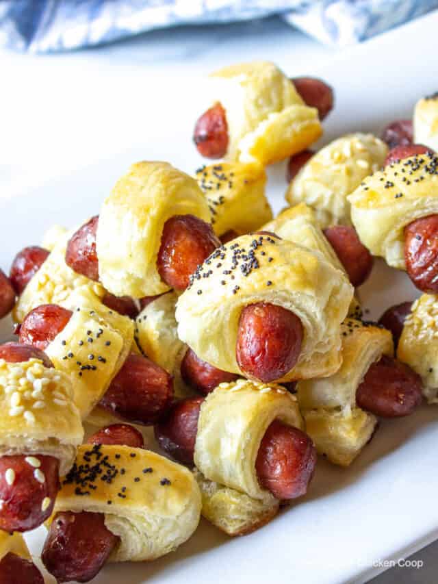 Mini Pigs in a Blanket