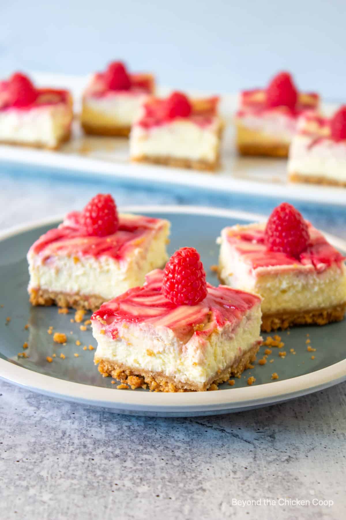 Three cheesecake bars topped with fresh raspberries.