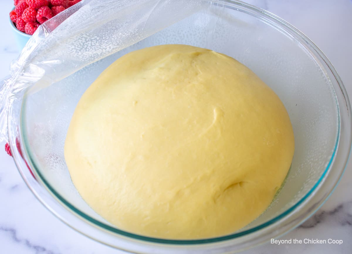 Risen bread dough in a bowl.