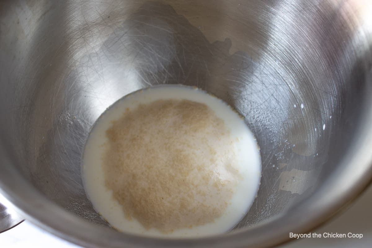 Bubbly yeast in a bowl.