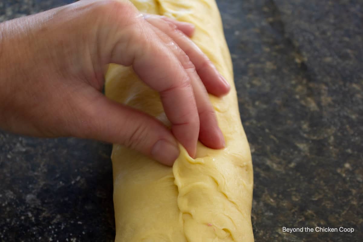 Rolling up a jelly roll.