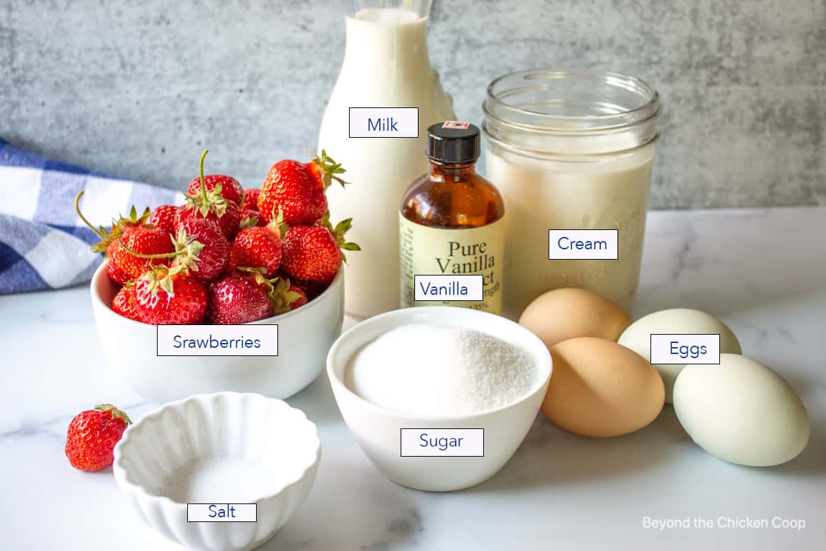 Ingredients for making strawberry ice cream.