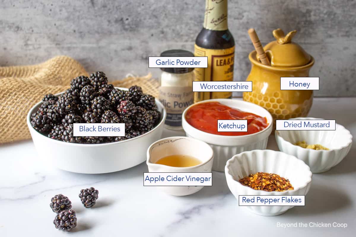 Ingredients for making a barbecue sauce with fresh blackberries. 