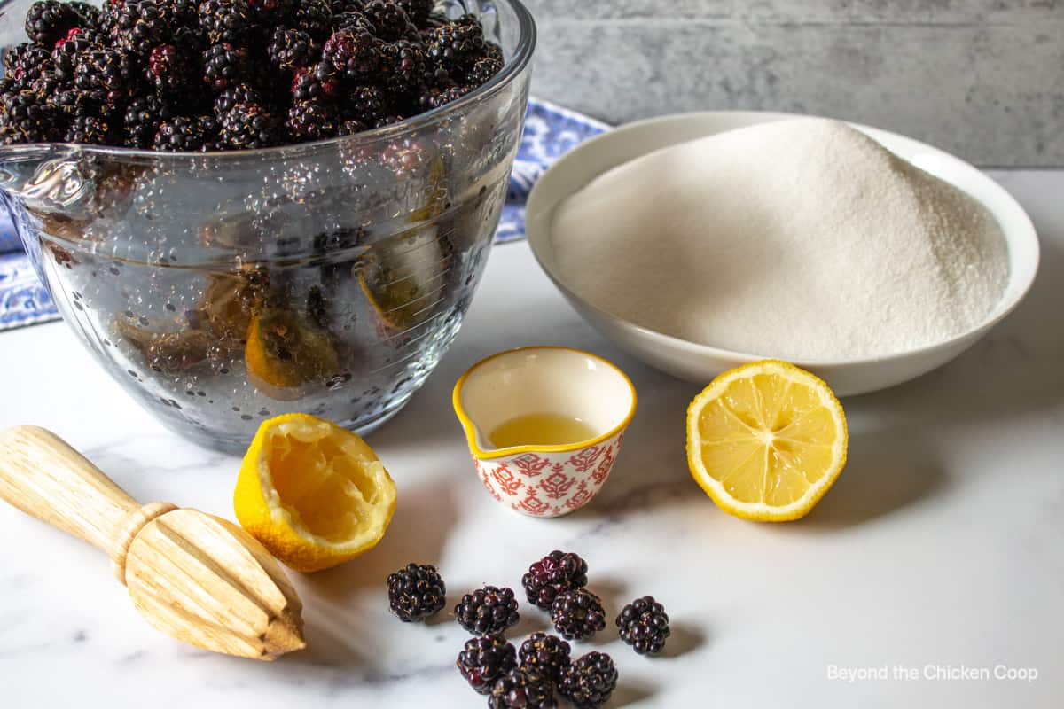 Fresh blackberries, sugar and lemon juice.