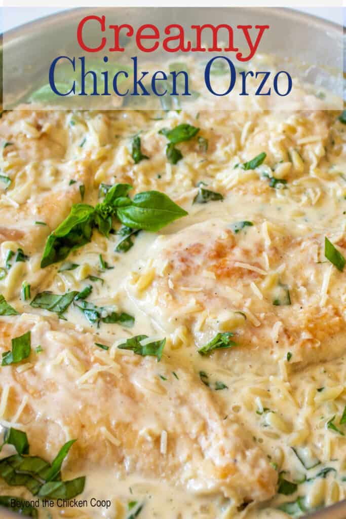 Chicken breasts in a pan with pasta and spinach.