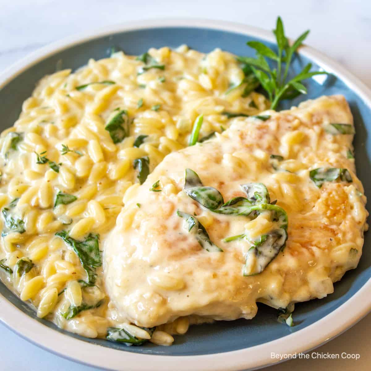 A chicken breast alongside some creamy orzo pasta.