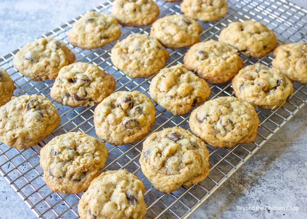 Cookies on a cooling rack.