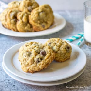 Chocolate oat cookies on a small white plate.