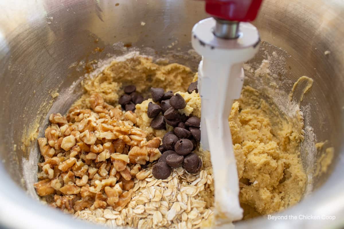 Oats, walnuts and chocolate chips in a mixing bowl.