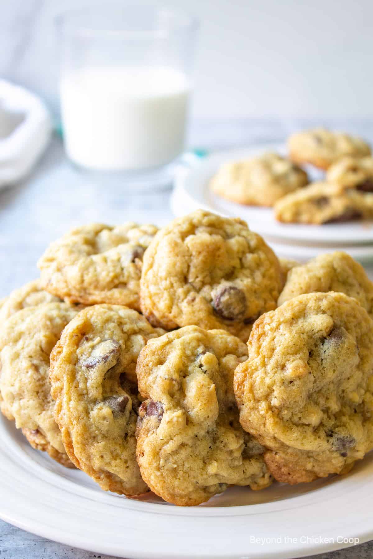 A plate of cookies.